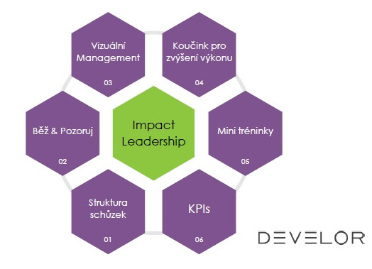 DEVELOR - Impact Leadership 