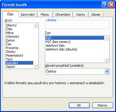 Speciální formát dat v MS Excel