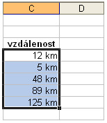 Vlastní formát dat v MS Excel