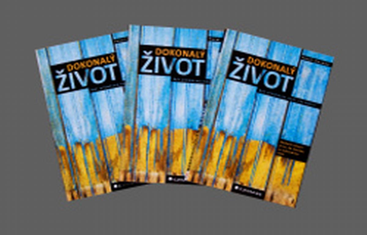 "Dokonalý život – Být průměrný není normální", Pavel Vosoba